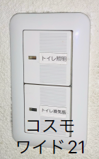 �R�X�����C�h21